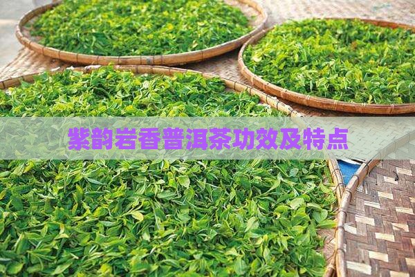 紫韵岩香普洱茶功效
