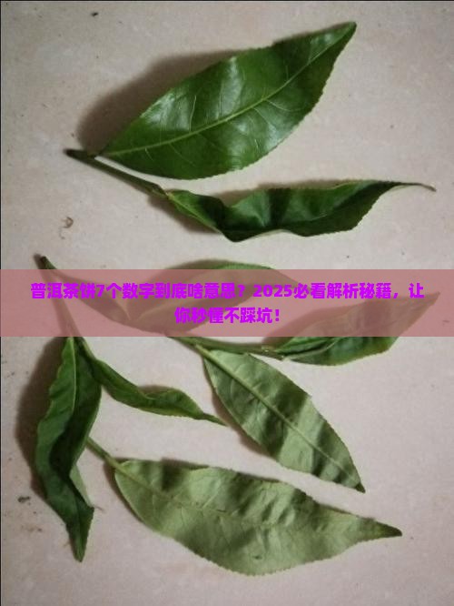 普洱茶饼7个什么意思 普洱茶饼7个什么意思