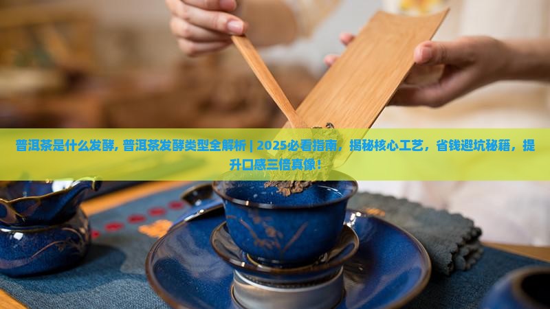 普洱茶是什么发酵