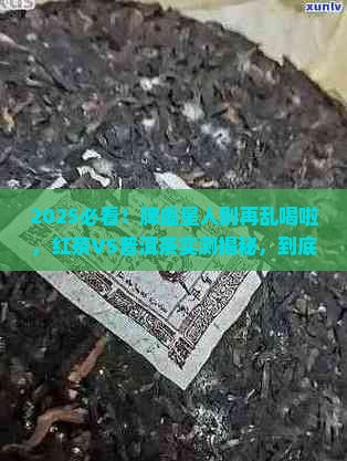脾虚红茶和普洱茶谁好