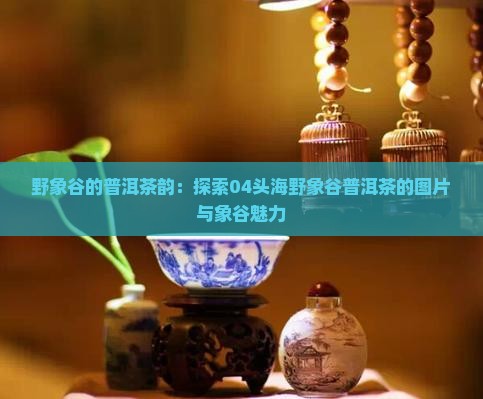 04头海野象谷普洱茶