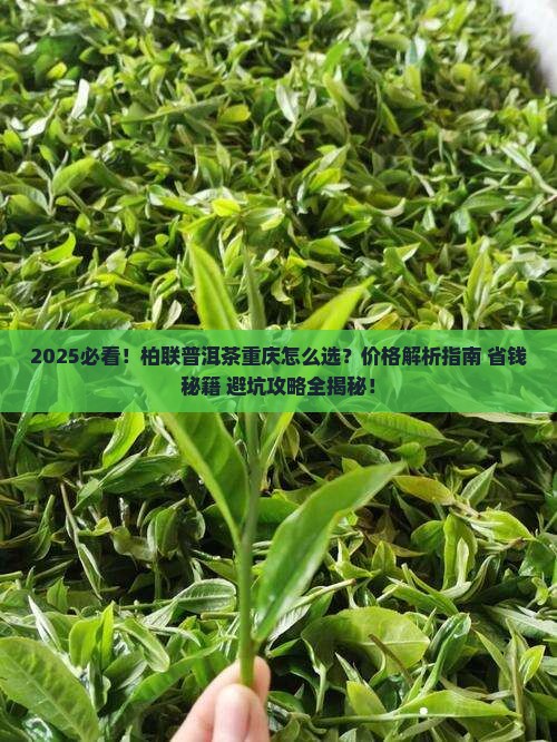 柏联普洱茶重庆