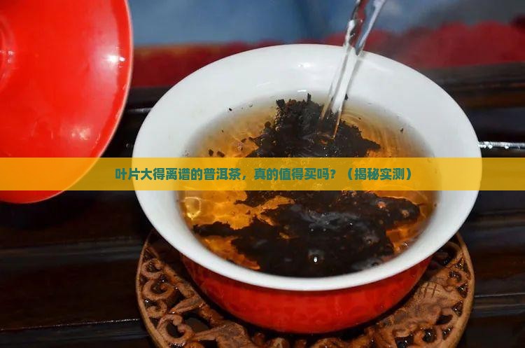 叶片特别大的普洱茶