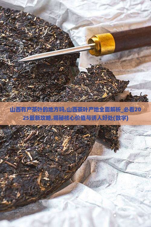 山西有产茶叶的地方吗