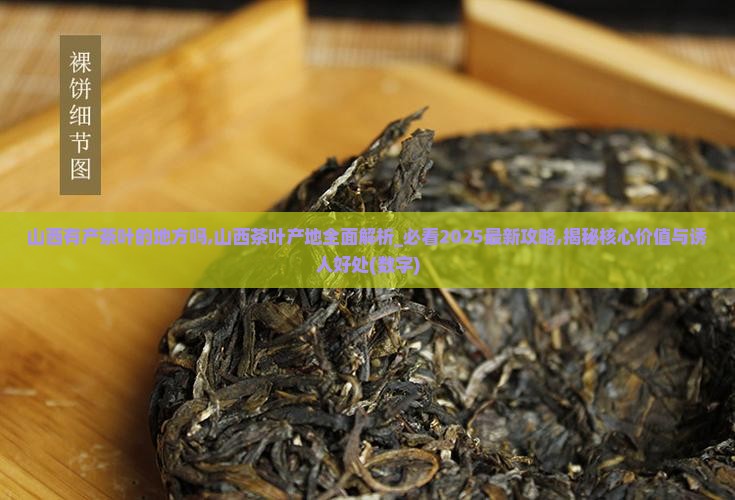 山西有产茶叶的地方吗