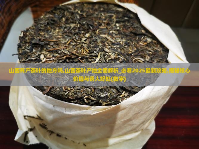 山西有产茶叶的地方吗