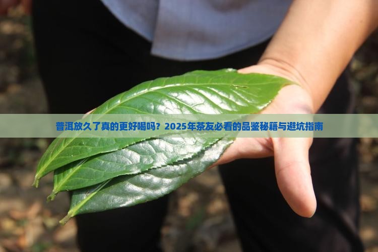 普洱放的时间长了好吗