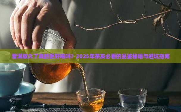 普洱放的时间长了好吗