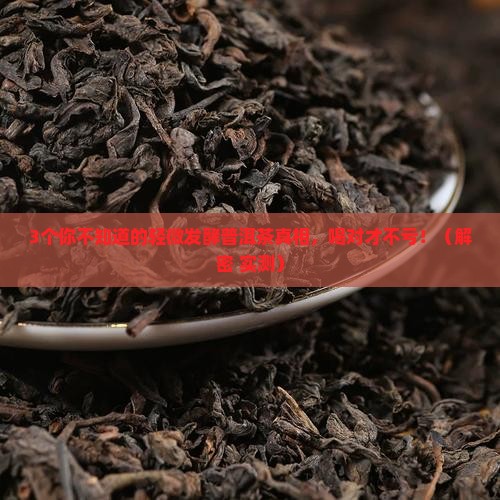 轻微发酵普洱茶