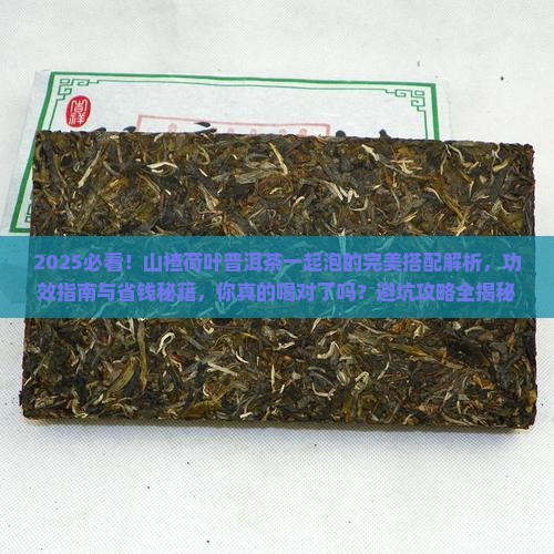 山楂荷叶普洱茶一起泡
