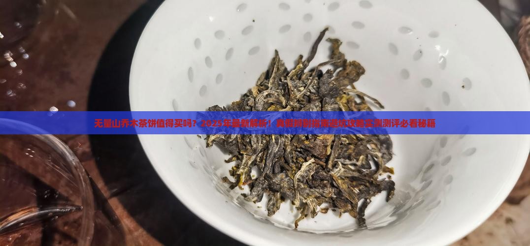 无量山乔木茶饼