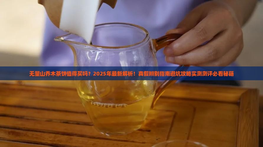 无量山乔木茶饼