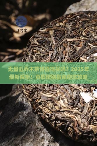 无量山乔木茶饼