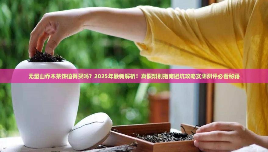 无量山乔木茶饼
