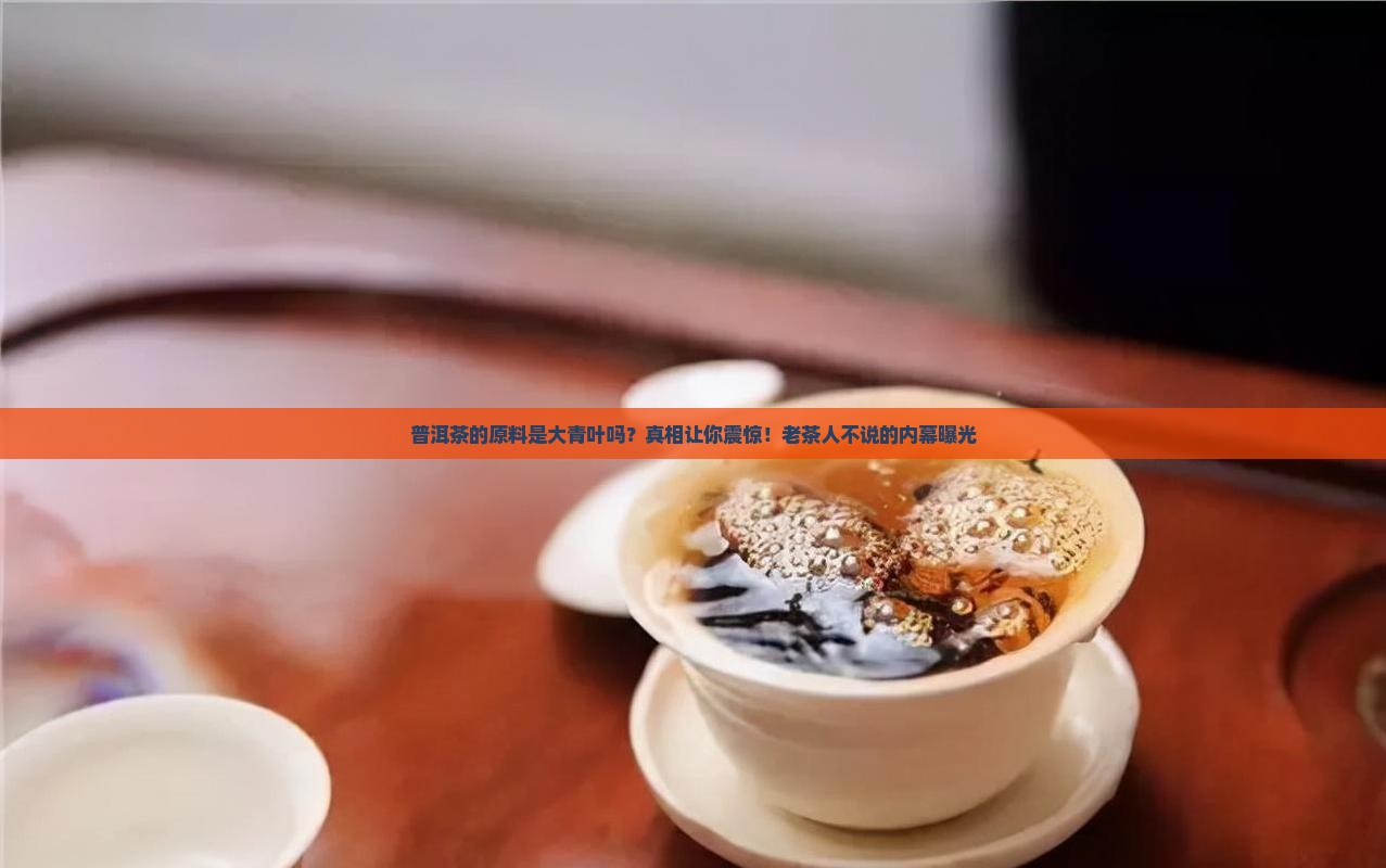 普洱茶的原料是大青叶吗