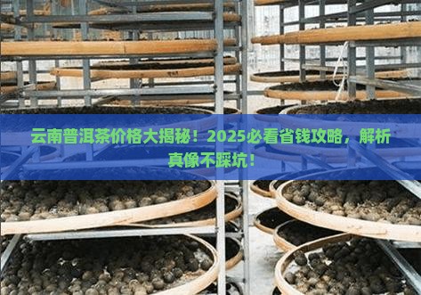 云南普洱茶一般多少钱一斤