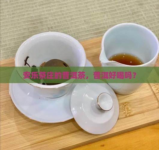 安乐茶庄普洱茶怎么样好喝吗
