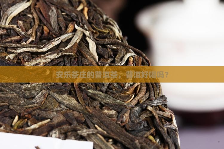 安乐茶庄普洱茶怎么样好喝吗