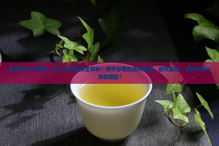 普洱茶分几种啊