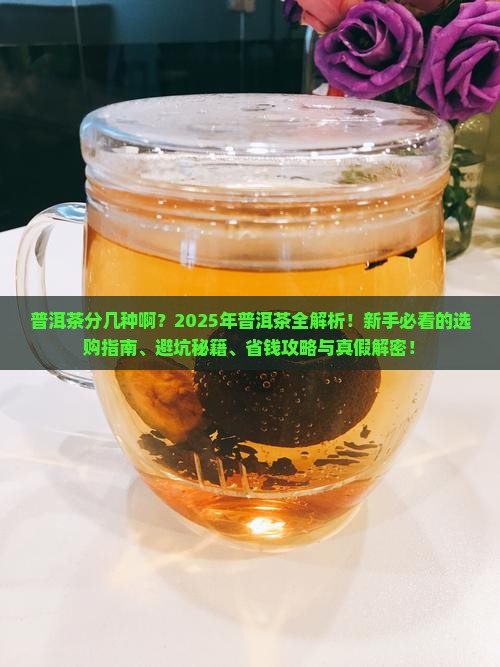 普洱茶分几种啊