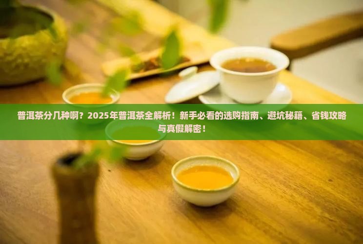 普洱茶分几种啊