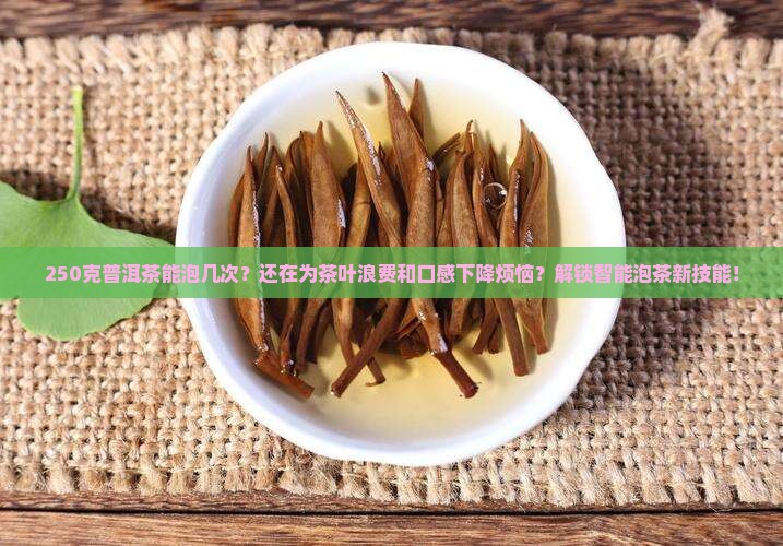 250克普洱茶能泡几次