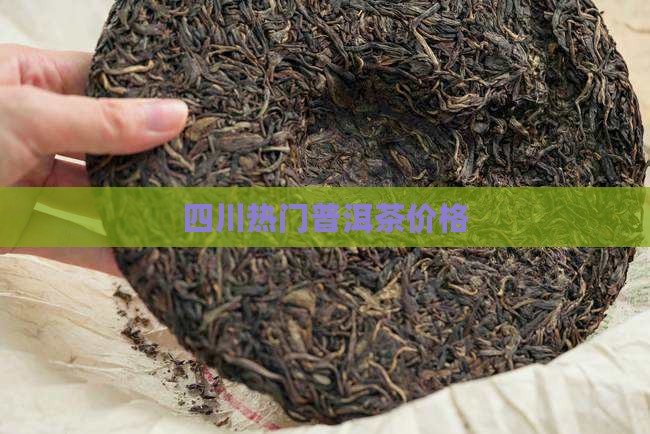 四川热门普洱茶价格