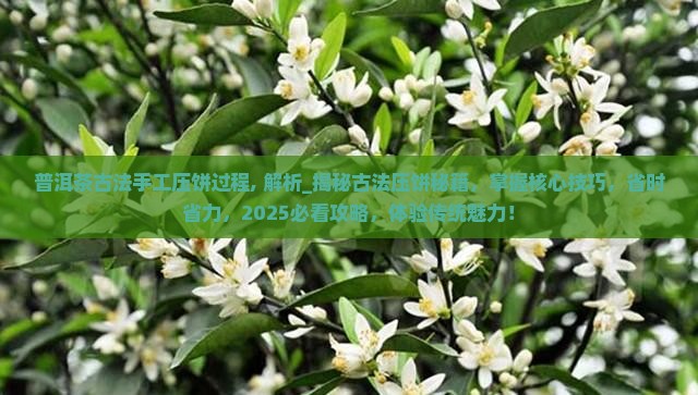 普洱茶古法手工压饼过程