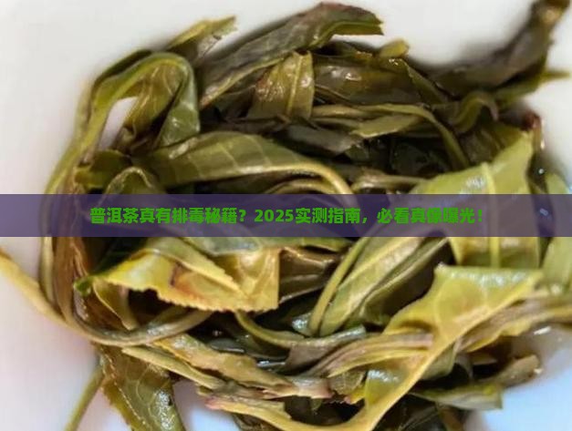 普洱茶能排毒吗