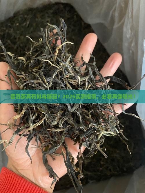 普洱茶能排毒吗