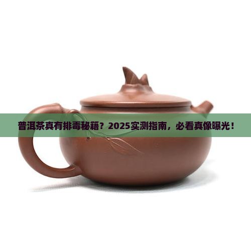 普洱茶能排毒吗