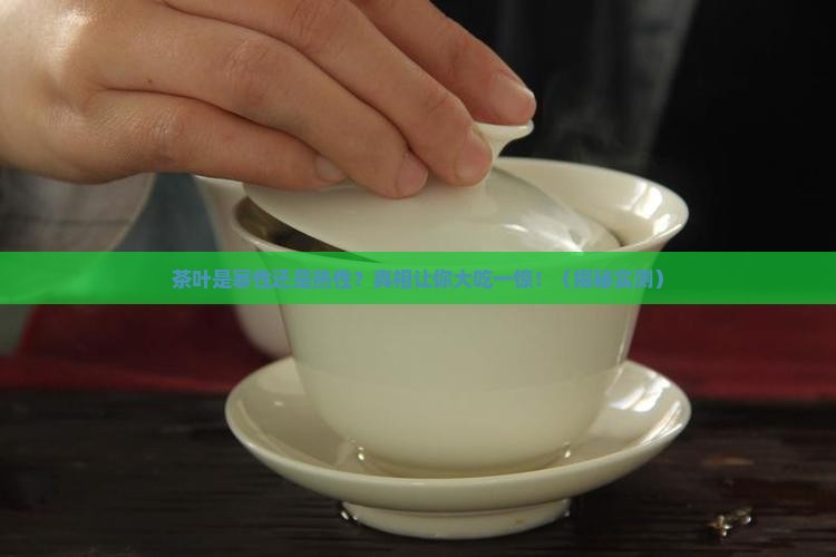 茶叶寒性还是热性 茶叶寒性还是热性