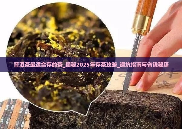 普洱茶最适合存的茶