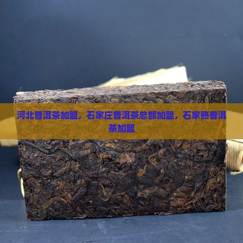 石家庄熟普洱茶总部加盟