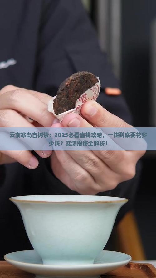 云南冰岛古树茶一饼多少钱