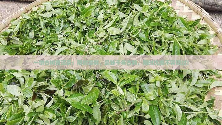一饼古树普洱茶