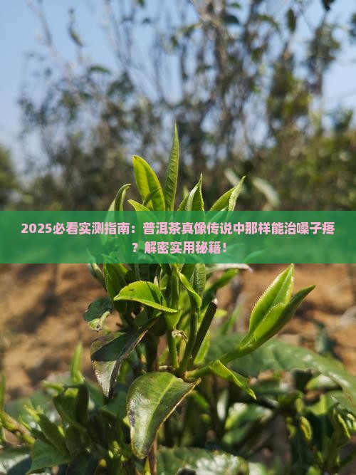 普洱茶可以治嗓子疼吗