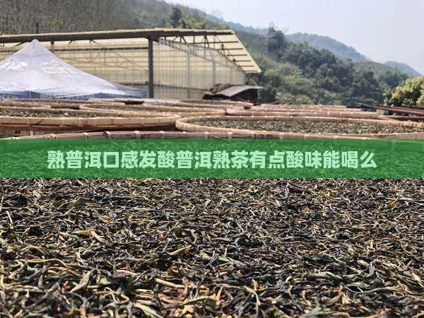 熟普洱口感发酸普洱熟茶有点酸味