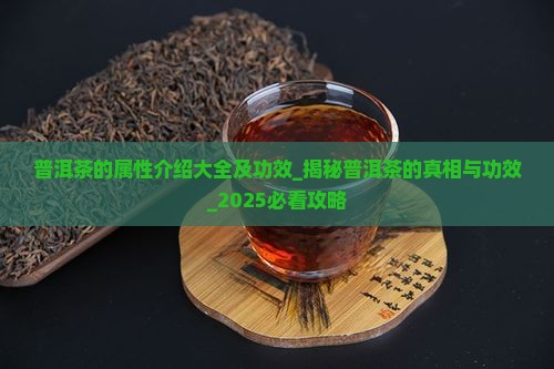 普洱茶的属性介绍大全及功效