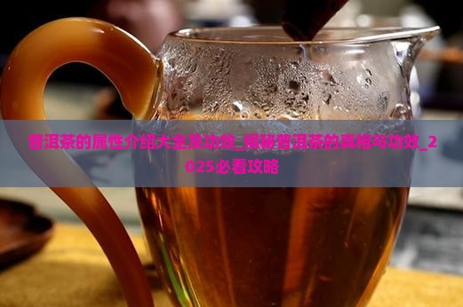 普洱茶的属性介绍大全及功效