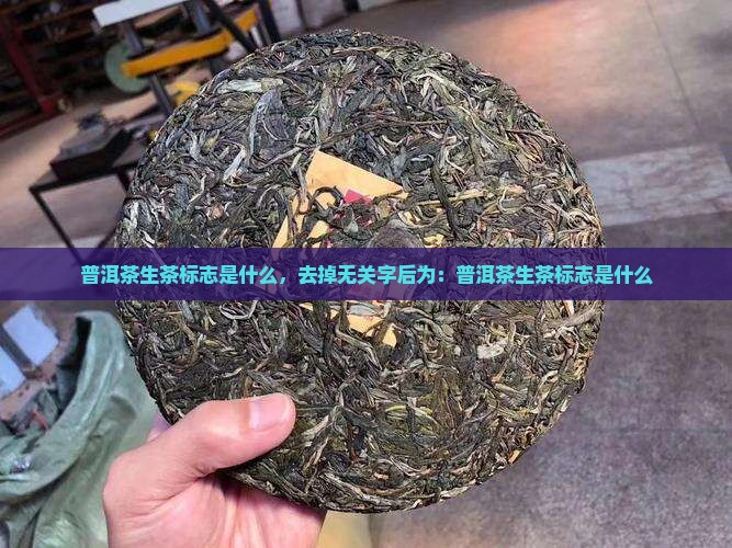 普洱茶生茶标志
