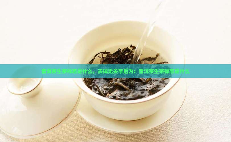 普洱茶生茶标志