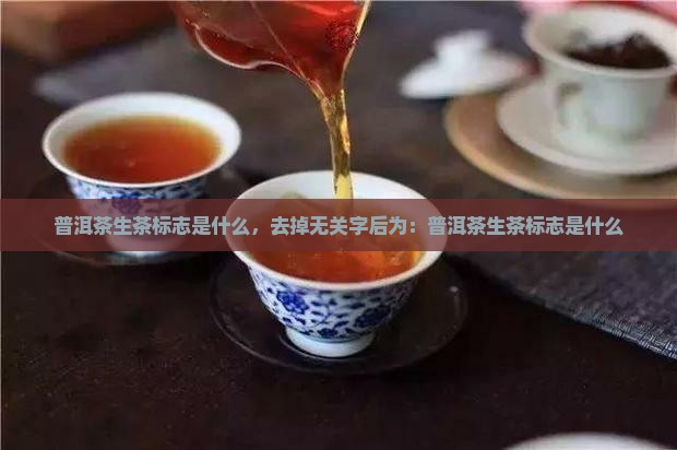 普洱茶生茶标志