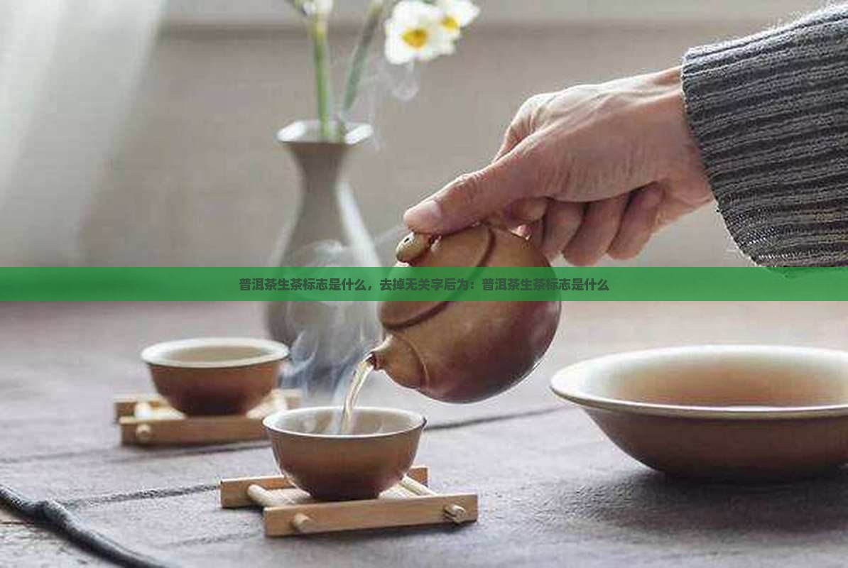 普洱茶生茶标志