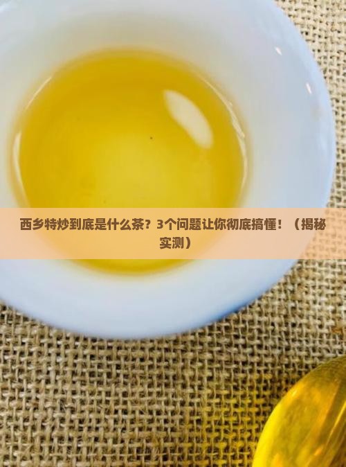 西乡特炒属于什么茶