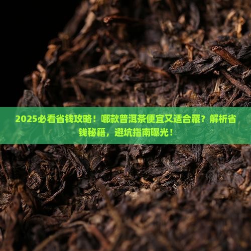 哪款普洱茶便宜适合购买藏