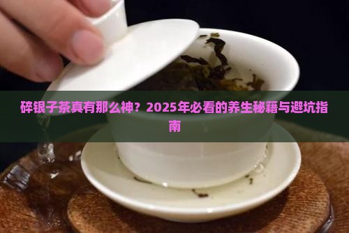 碎银子茶有何功效和作用及禁忌