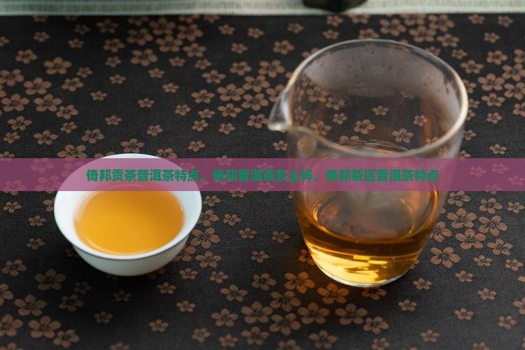 倚邦贡茶普洱茶特点
