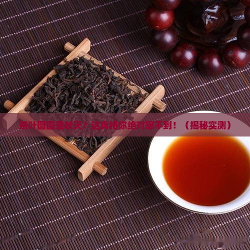 茶叶圆圆是秋天对吗