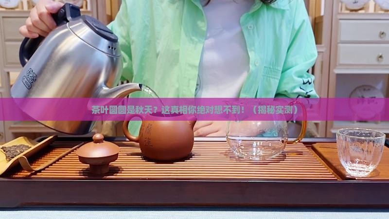 茶叶圆圆是秋天对吗